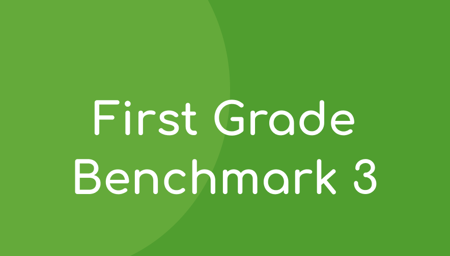 ALO Grade 1 Benchmark 3 Math Materials