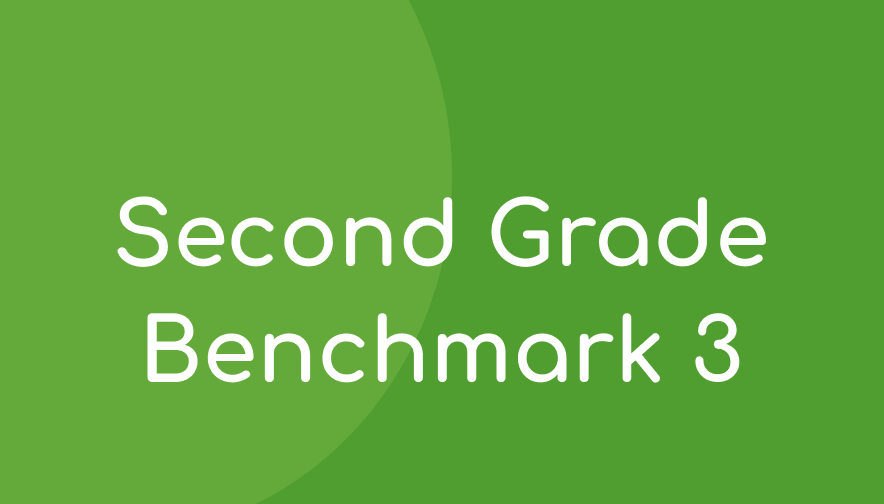 ALO Grade 2 Benchmark 3 Math Materials