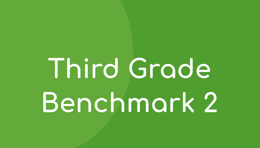 ALO Grade 3 Benchmark 2 Math Materials