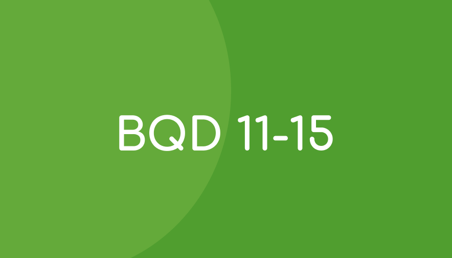BQD 11-15 Progress Monitoring Student Materials