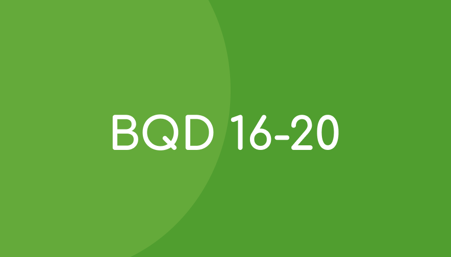 BQD 16-20 Progress Monitoring Student Materials