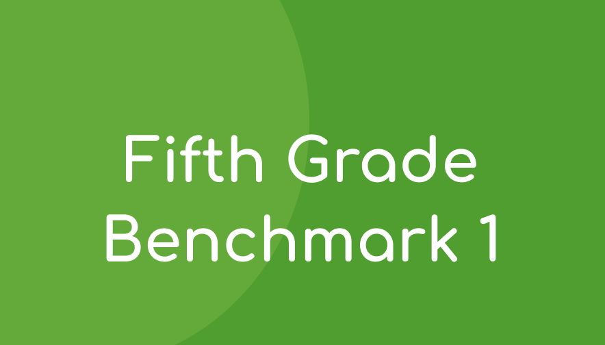 ALO Grade 5 Benchmark 1 Math Materials