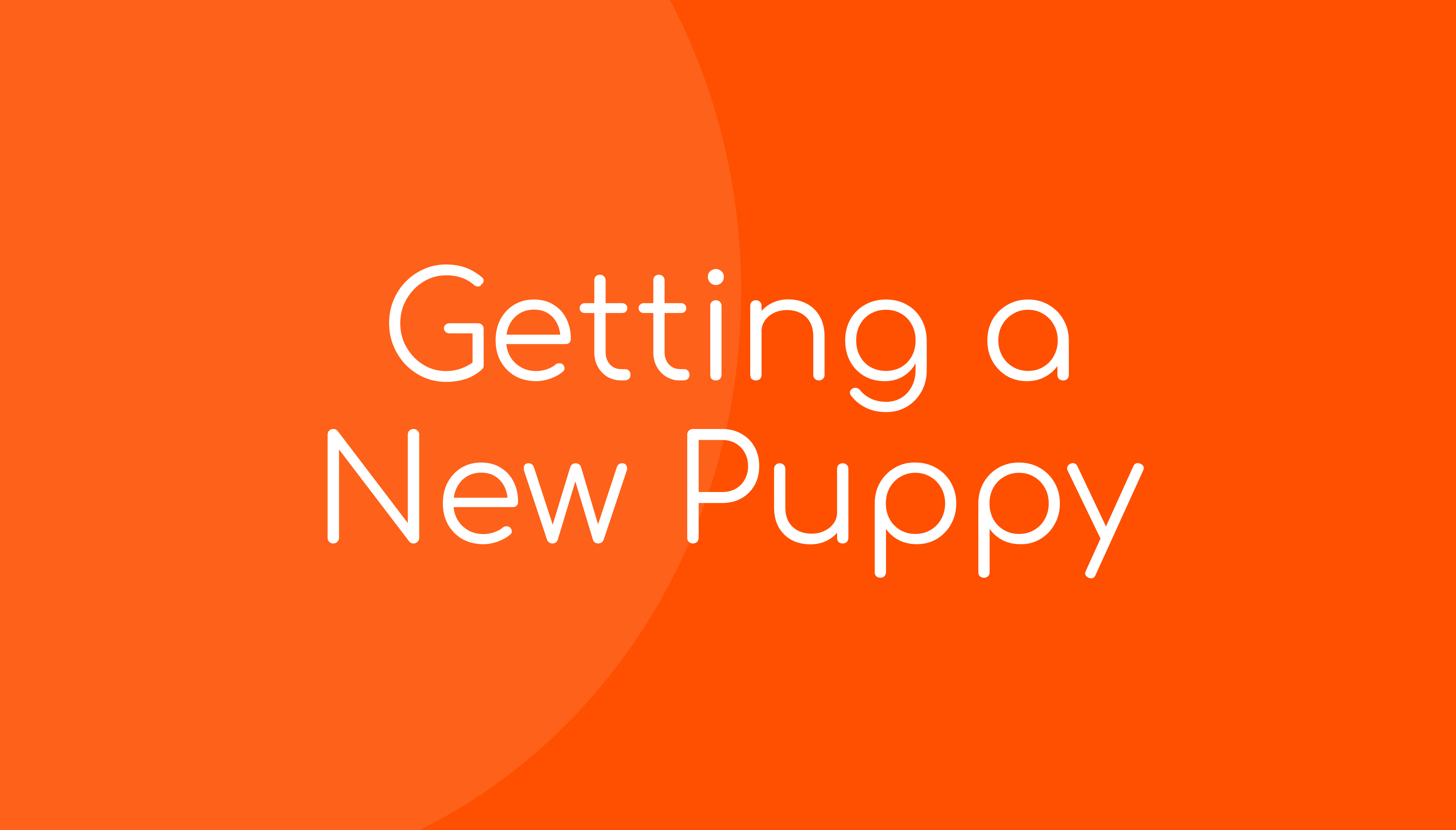 Getting a New Puppy