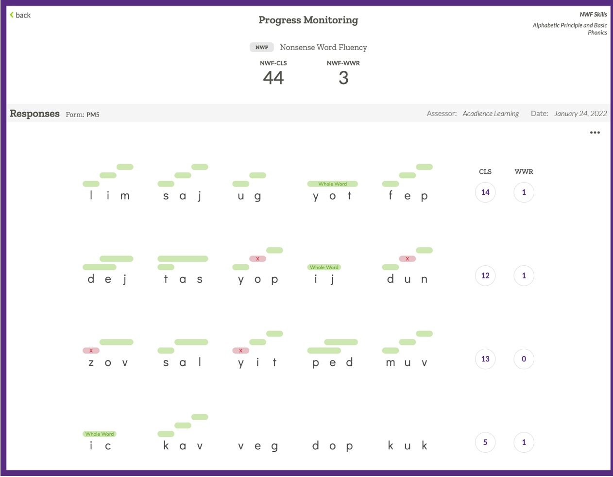 An example student Progress Monitoring data