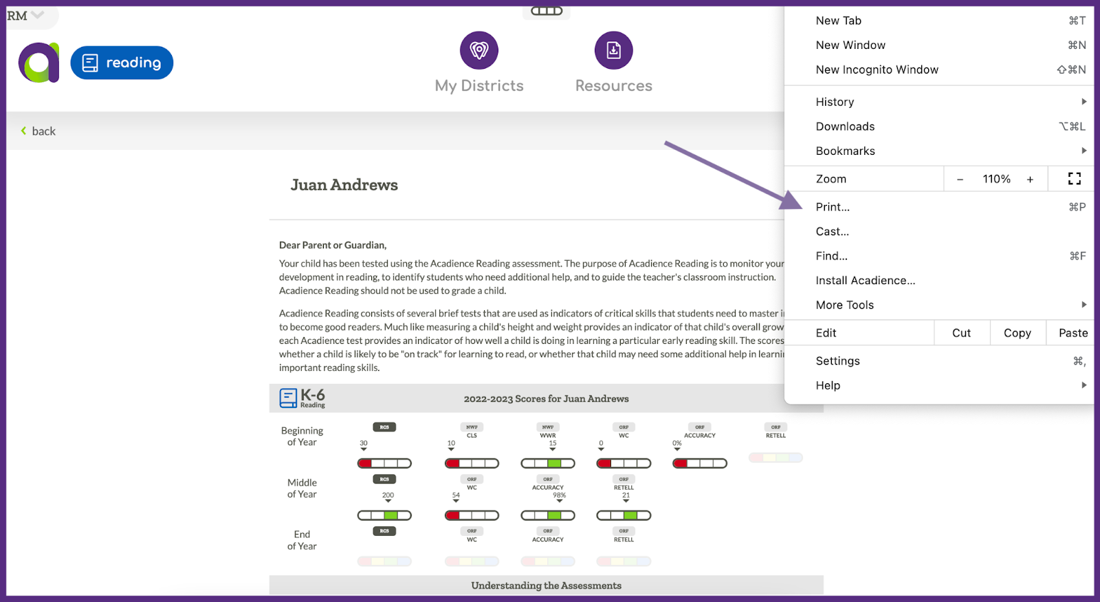 Image of report with browser menu indicating print option